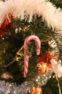 Candy cane on tree branch